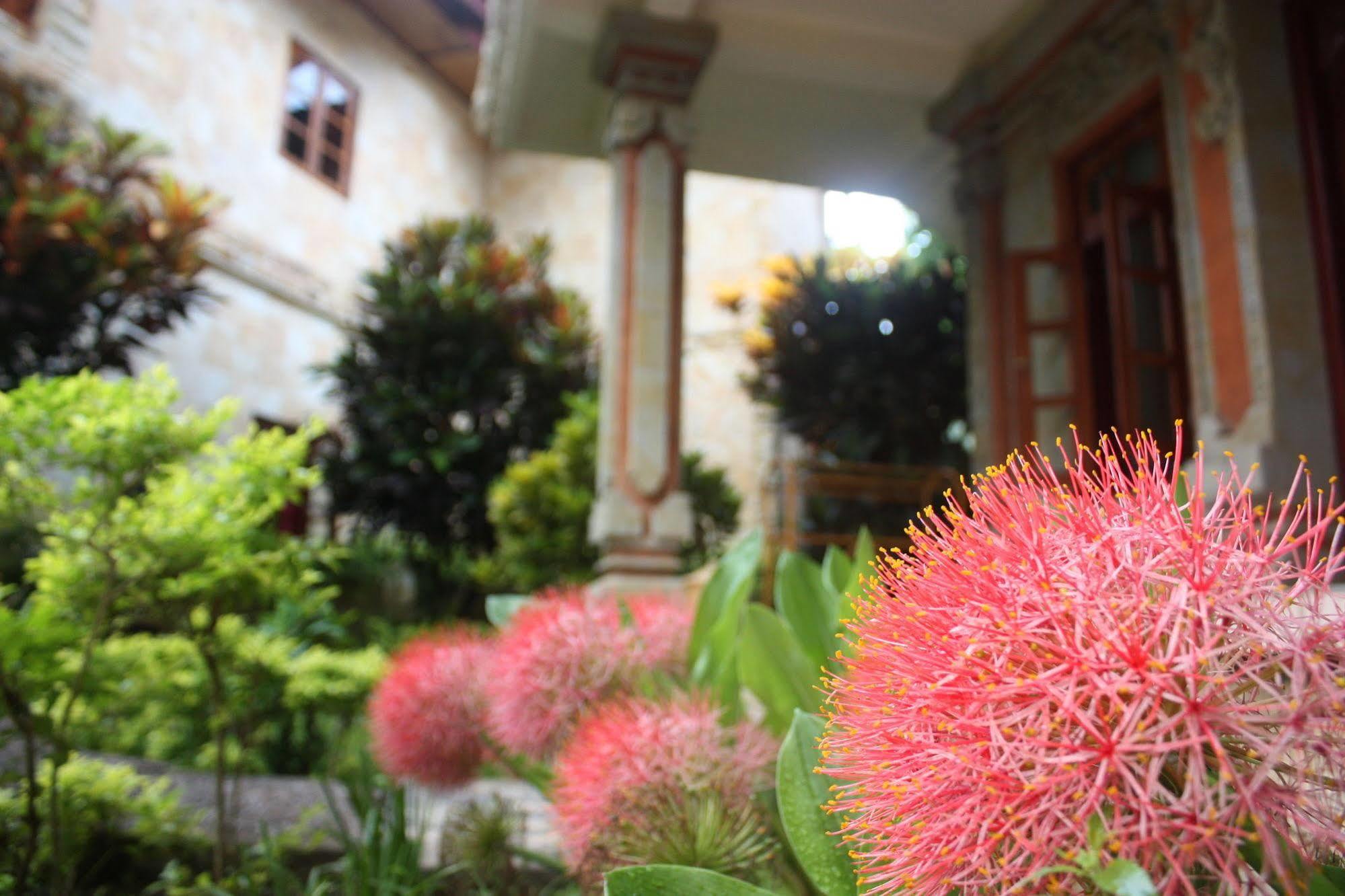 Rambutan Boutique Hotel Lovina Beach Extérieur photo